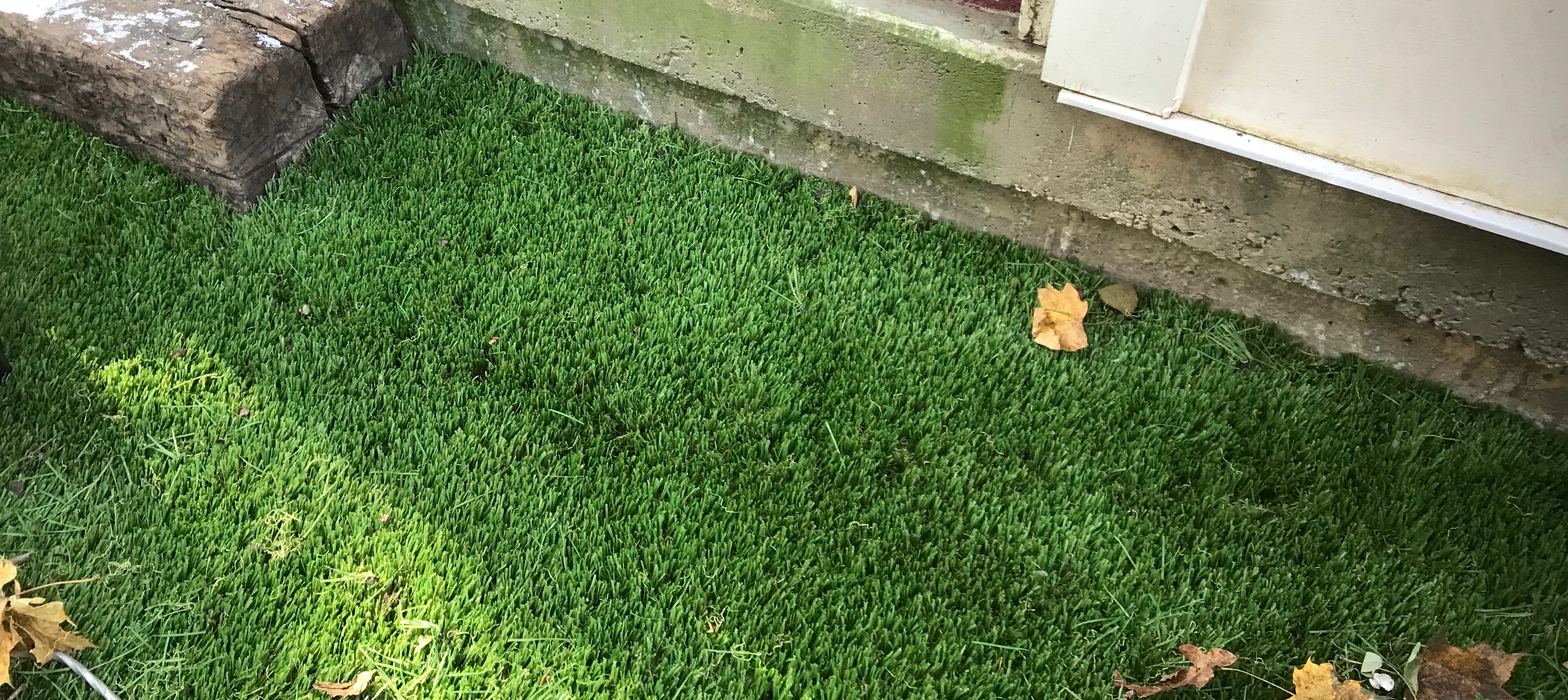 Artificial Turf Repair
